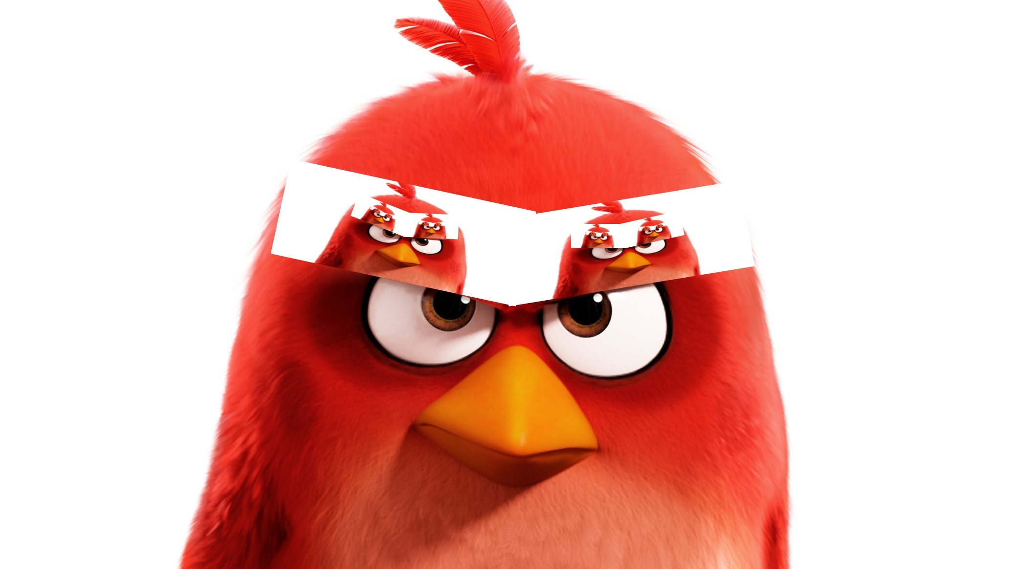 Detail Foto Angry Birds Nomer 47