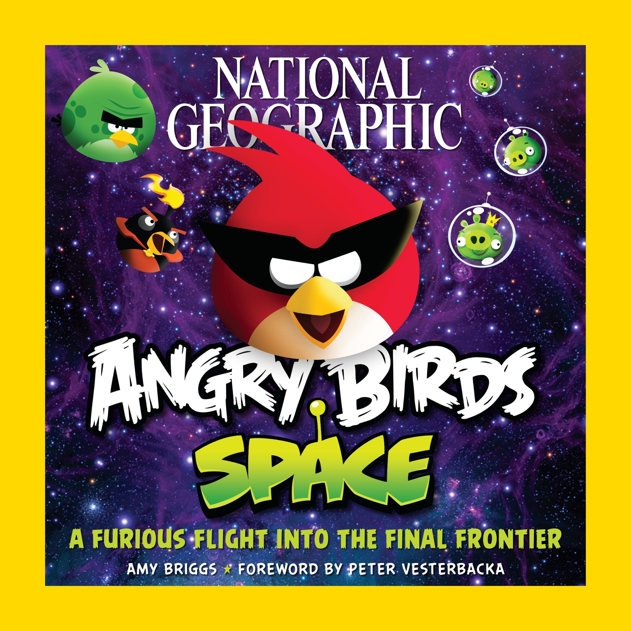 Detail Foto Angry Birds Space Nomer 19