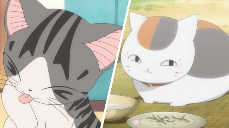 Detail Foto Anime Kucing Nomer 15