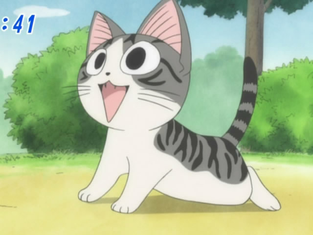 Detail Foto Anime Kucing Nomer 26