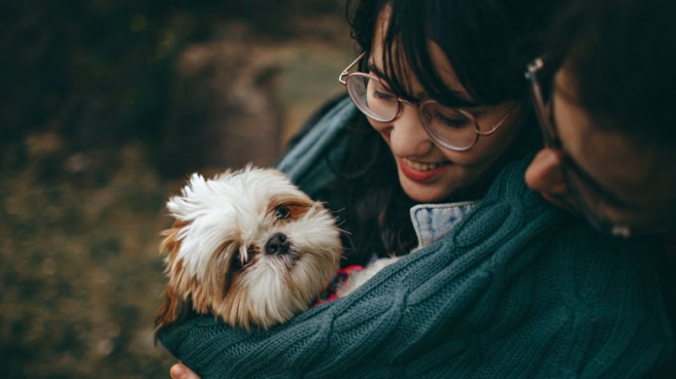 Detail Foto Anjing Kecil Yang Lucu Nomer 22