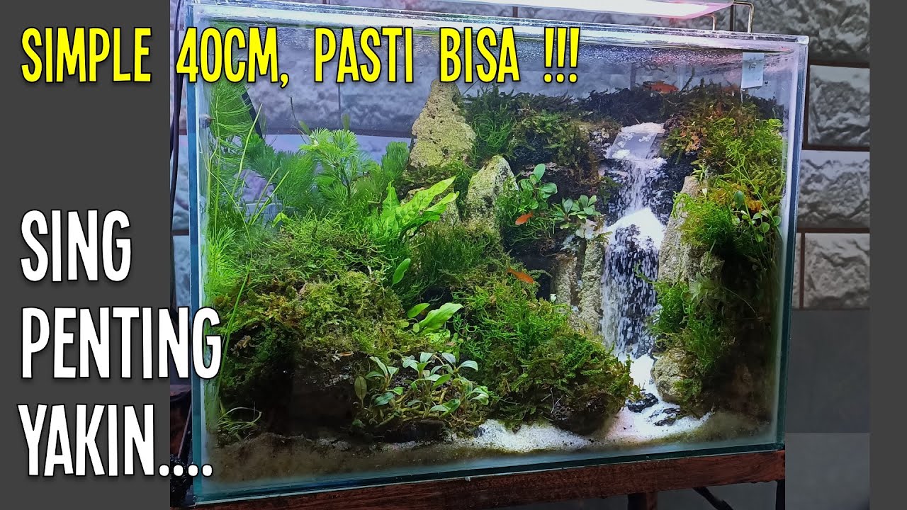 Foto Aquascape Air Terjun - KibrisPDR