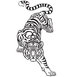Detail Chinesischer Tiger Tattoo Nomer 14