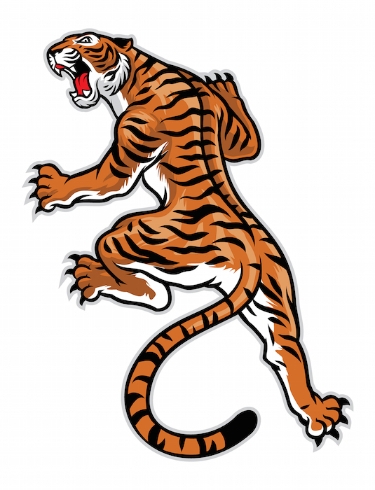 Detail Chinesischer Tiger Tattoo Nomer 17