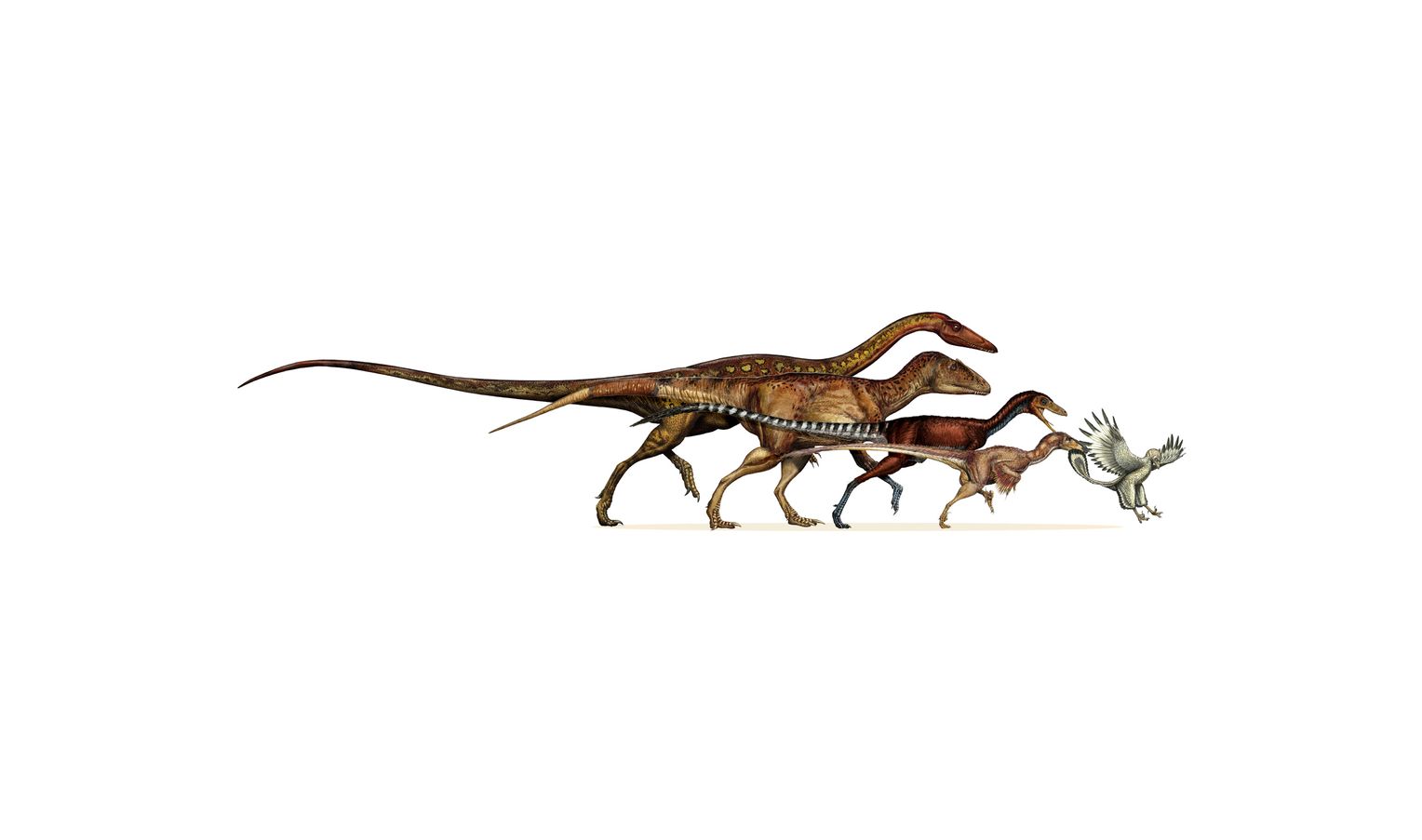 Detail Dinosaurier Arten Kinder Nomer 16
