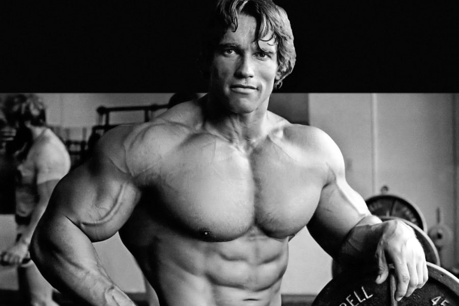 Detail Foto Arnold Schwarzenegger Nomer 12