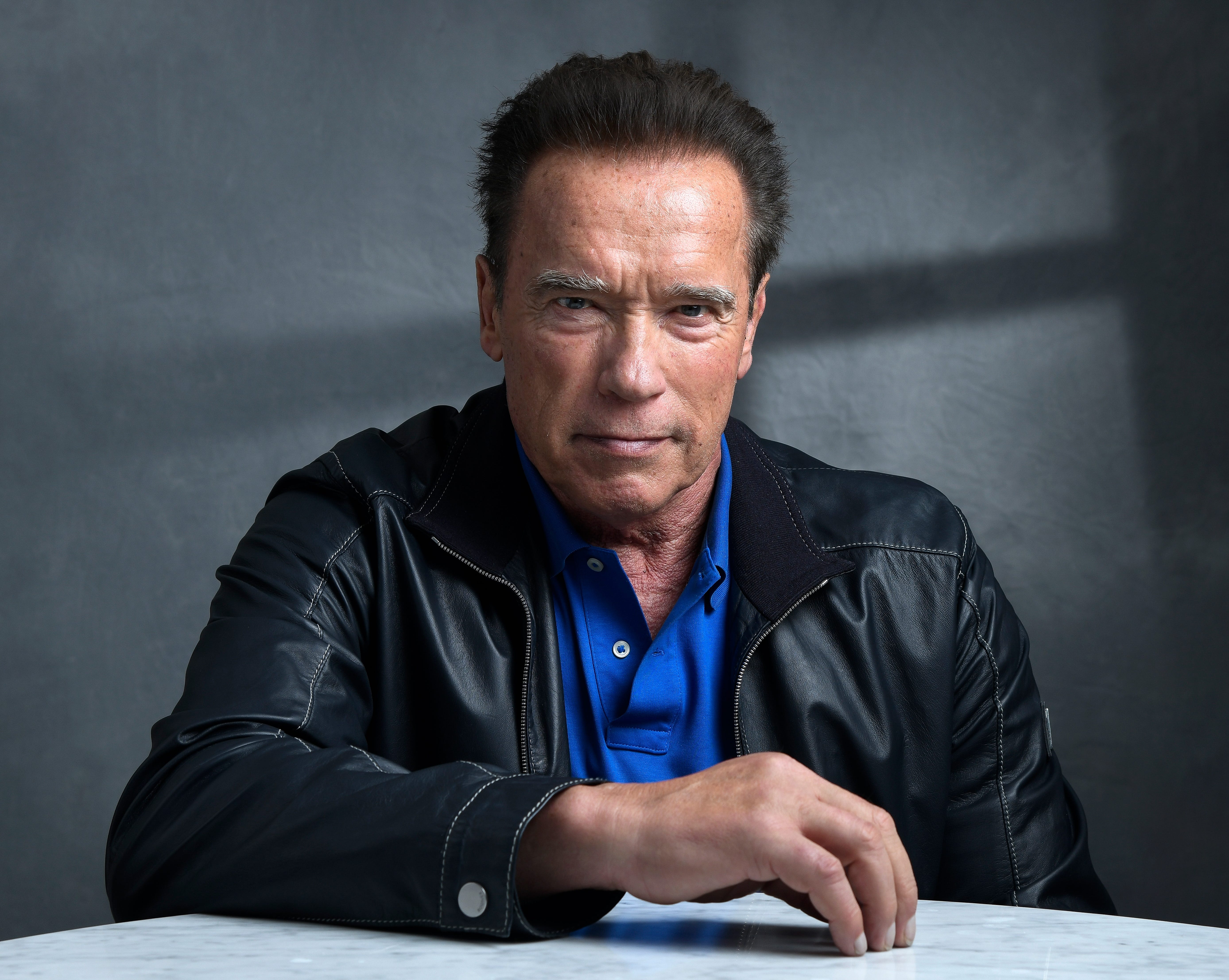 Detail Foto Arnold Schwarzenegger Nomer 18