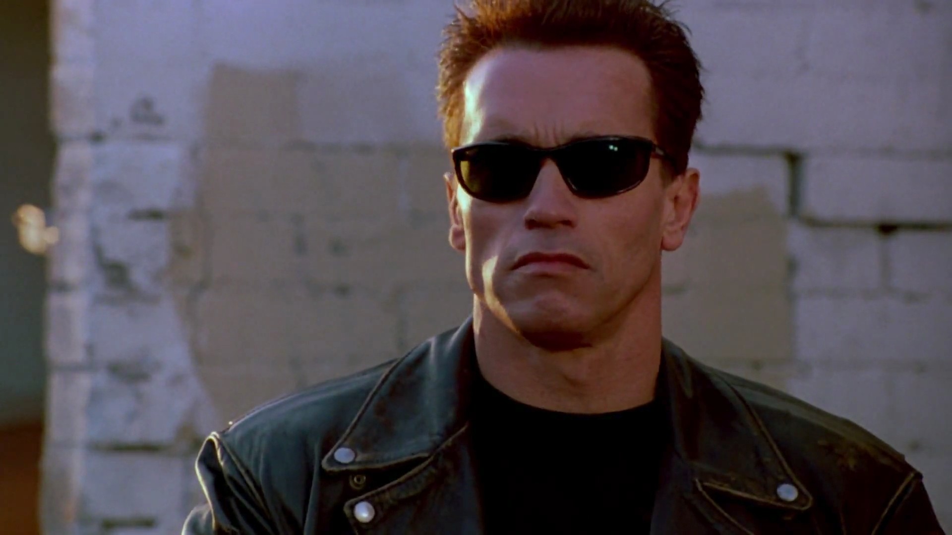 Detail Foto Arnold Schwarzenegger Nomer 45