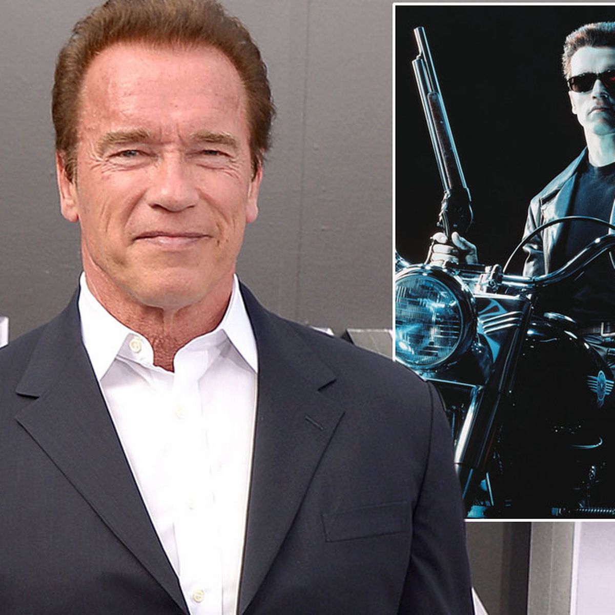 Detail Foto Arnold Schwarzenegger Nomer 50