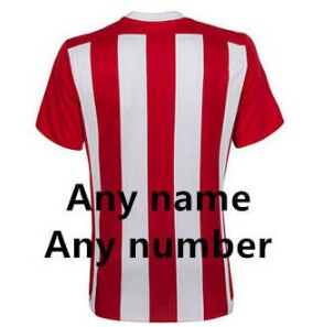 Detail Thailand Nationalmannschaft Trikot Nomer 10