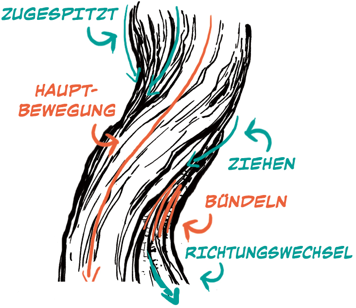 Detail Baumwurzeln Gezeichnet Nomer 12