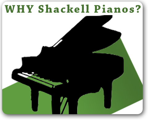 Detail Bechstein E Piano Nomer 8