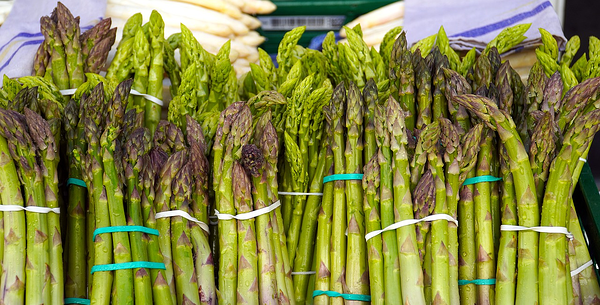 Detail Foto Asparagus Nomer 55