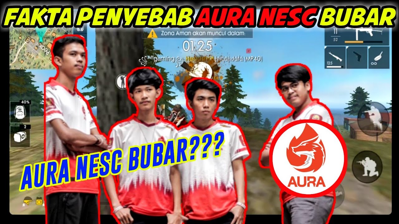 Detail Foto Aura Nesc Nomer 26