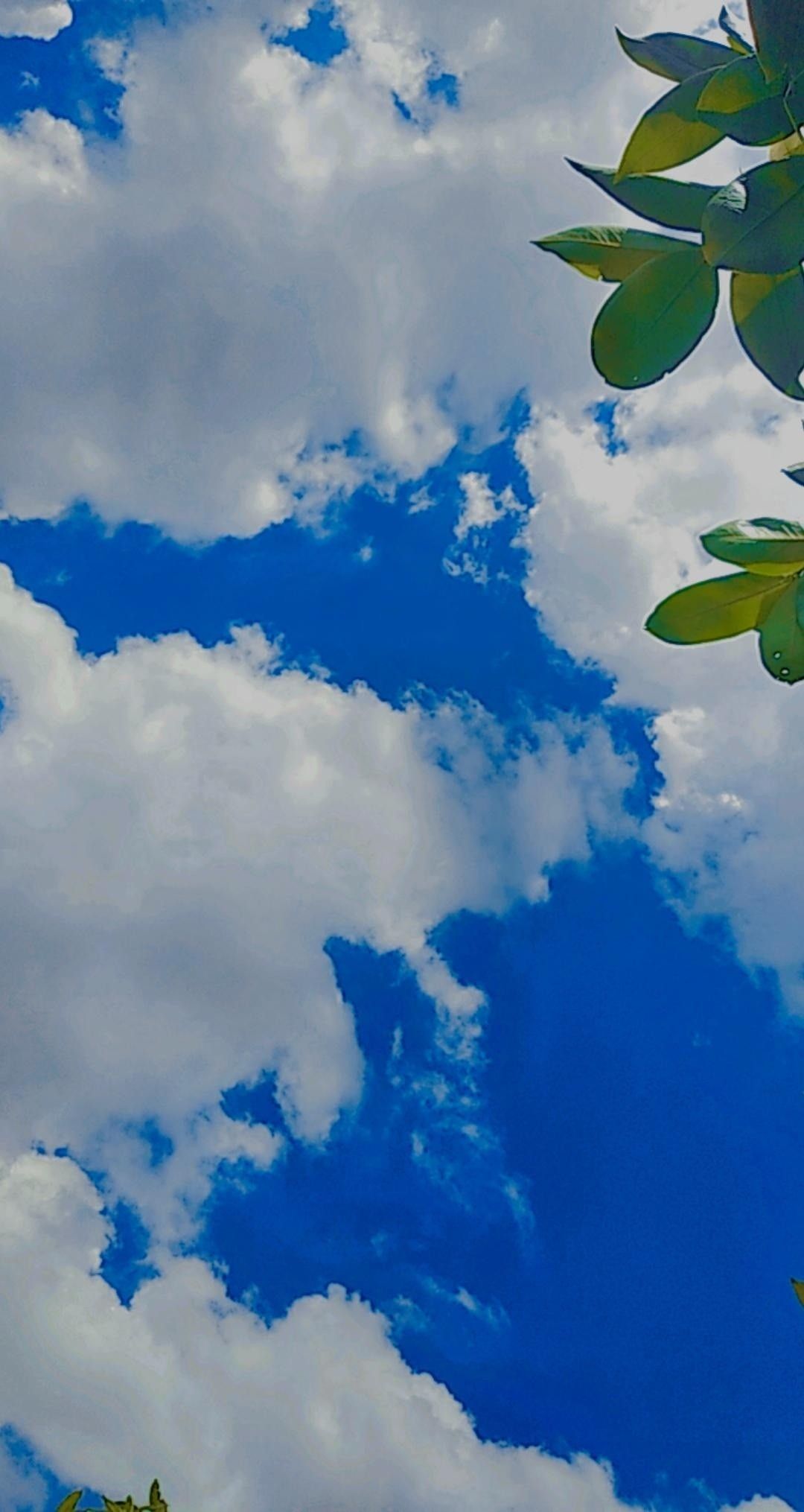 Detail Foto Awan Aesthetic Nomer 15