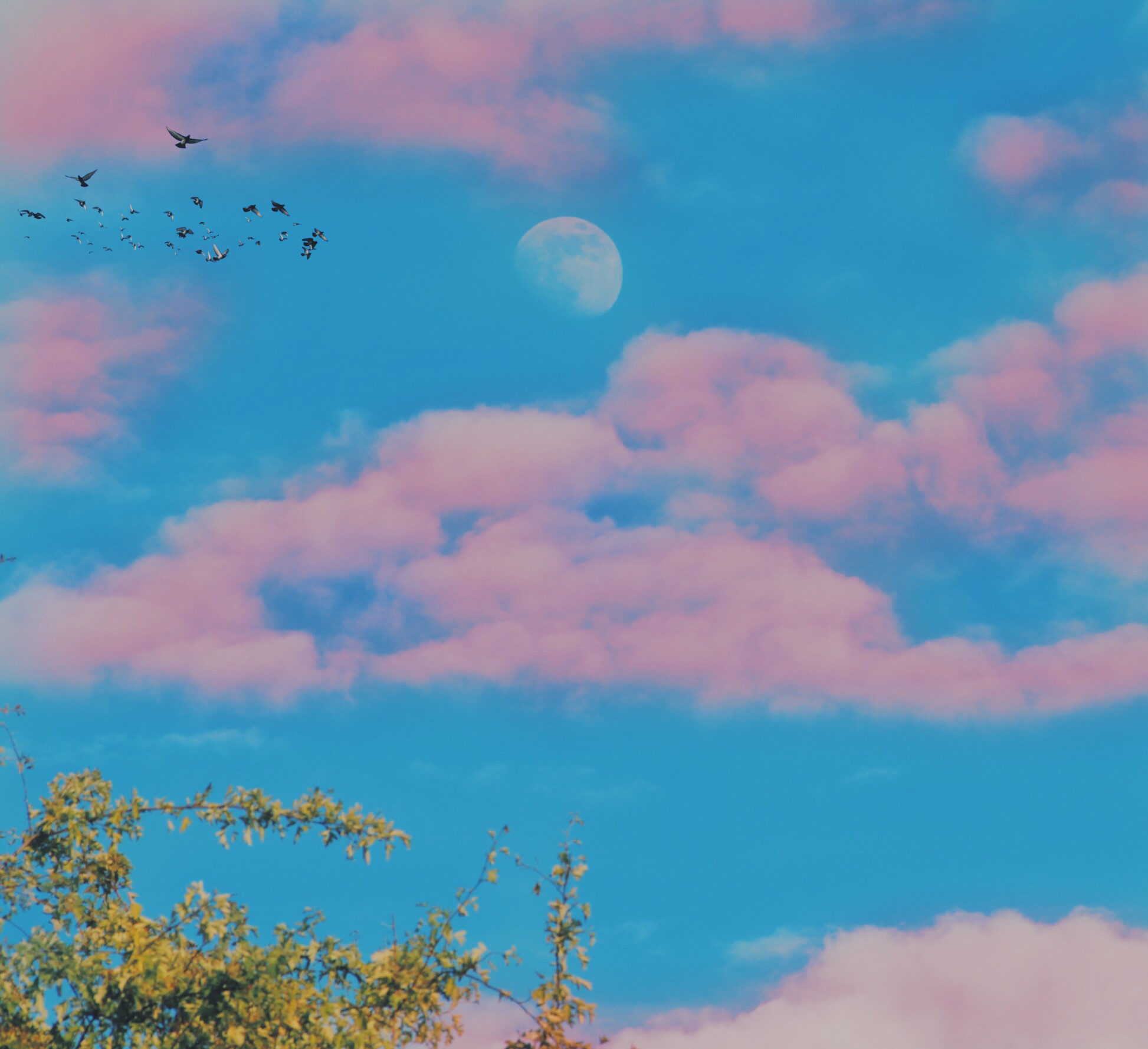 Detail Foto Awan Aesthetic Nomer 16