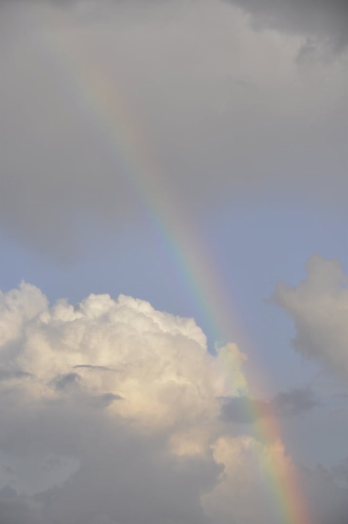 Detail Foto Awan Aesthetic Nomer 43