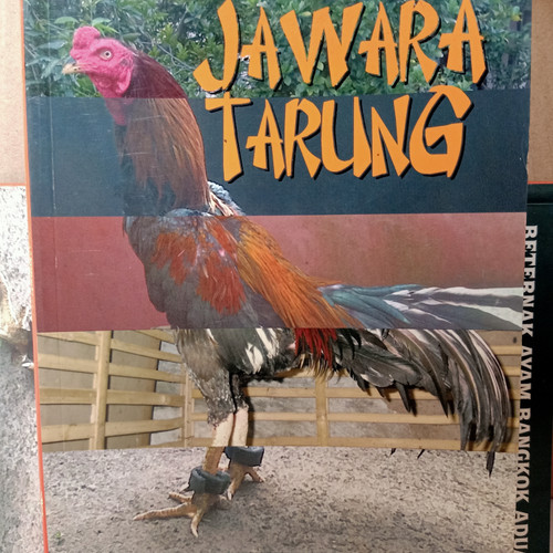 Detail Foto Ayam Bangkok Jawara Nomer 35