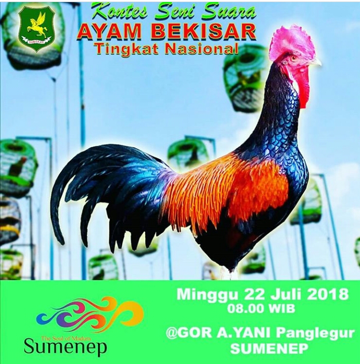 Detail Foto Ayam Bekisar Nomer 29