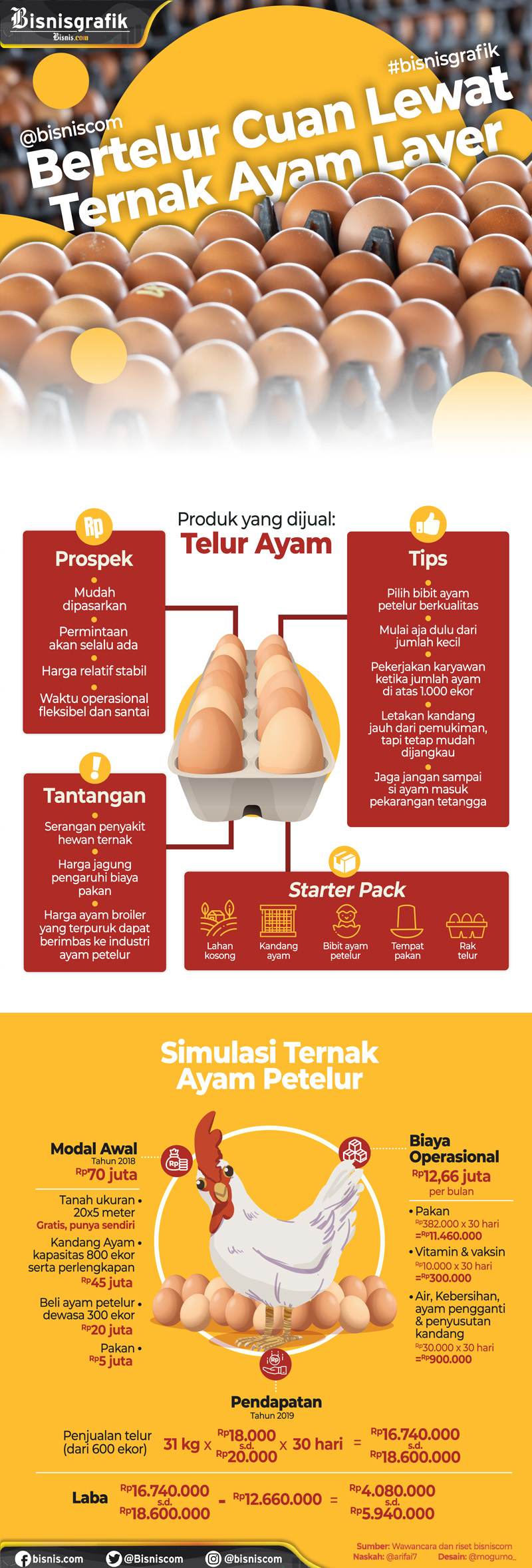 Detail Foto Ayam Bertelur Nomer 43