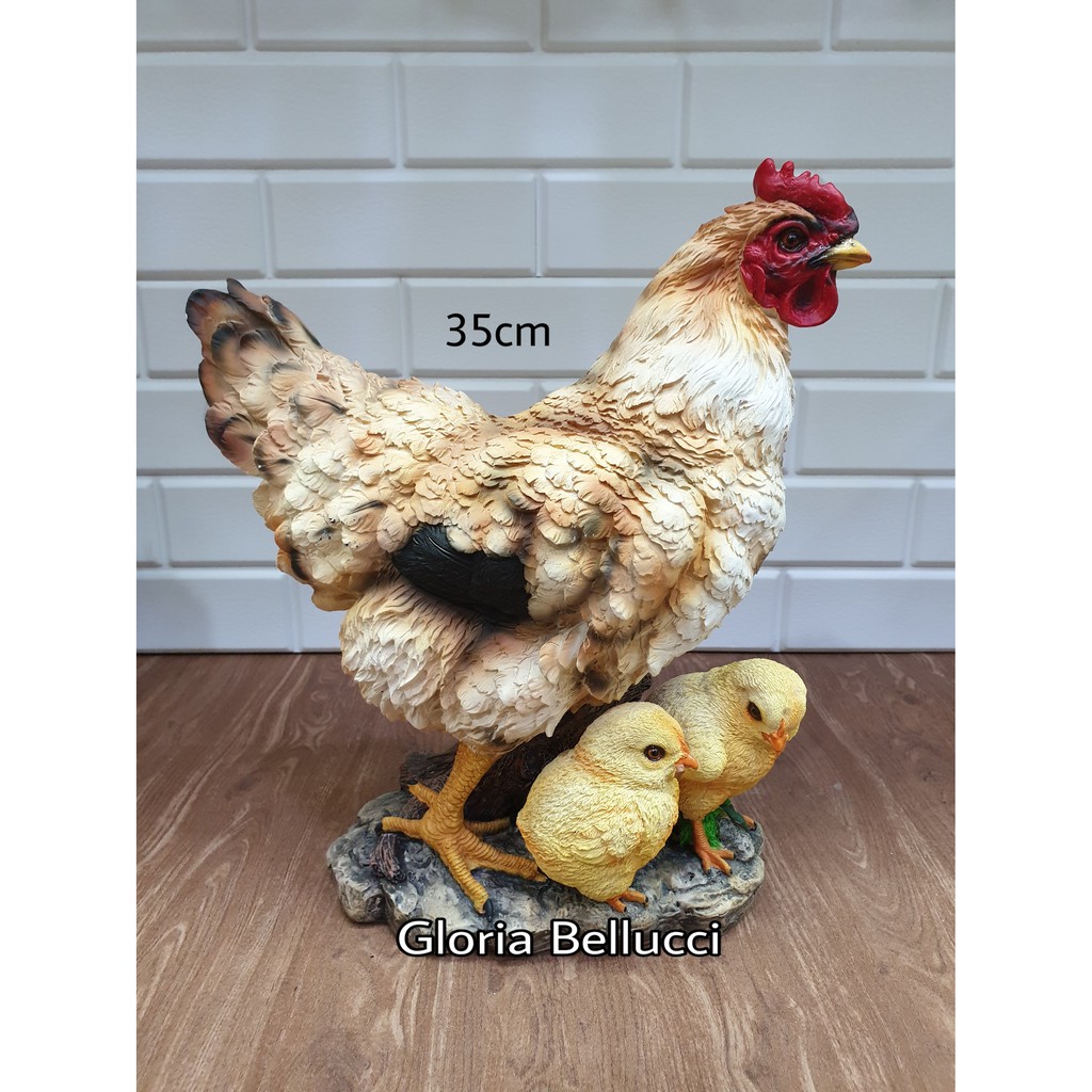 Detail Foto Ayam Betina Nomer 50