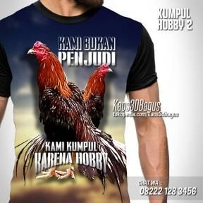 Download Foto Ayam Keren Nomer 43