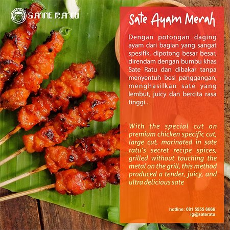 Detail Foto Ayam Merah Nomer 42