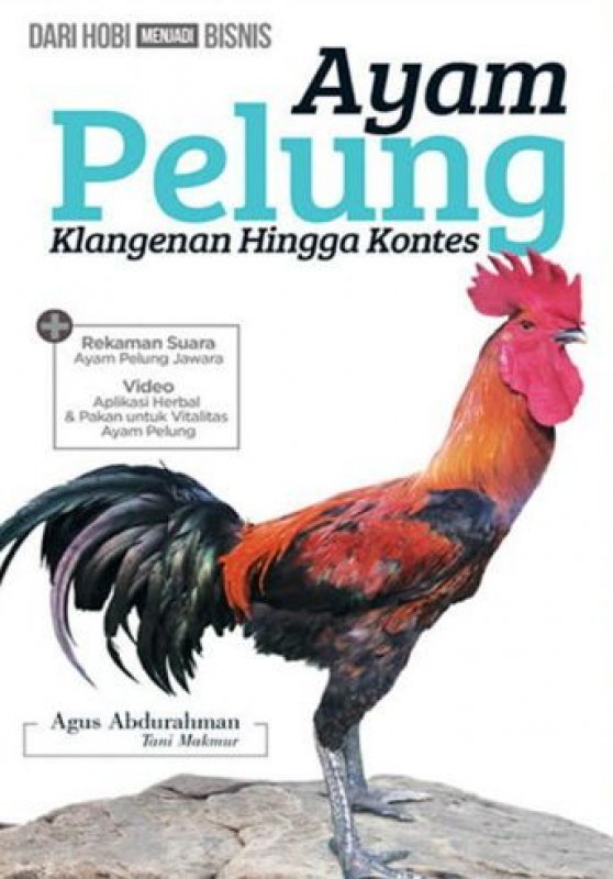 Detail Foto Ayam Pelung Nomer 19