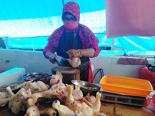 Detail Foto Ayam Potong Nomer 33