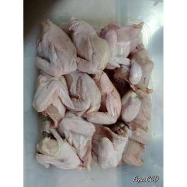 Detail Foto Ayam Potong Nomer 44