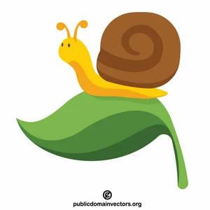 Detail Schnecke Clipart Nomer 7