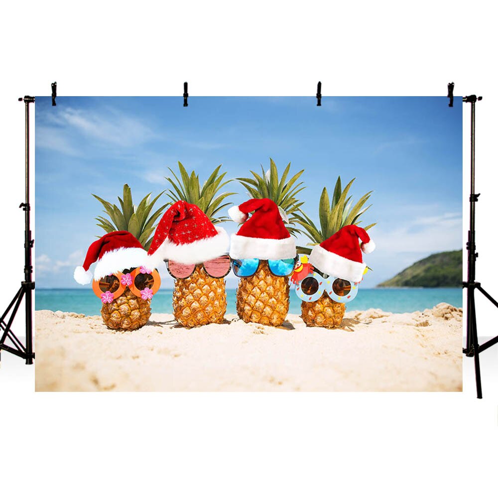 Detail Weihnachten Am Strand Bilder Nomer 9