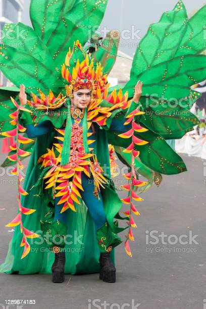 Detail Foto Baju Karnaval Nomer 21