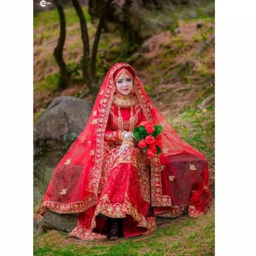 Detail Foto Baju Pengantin India Nomer 21