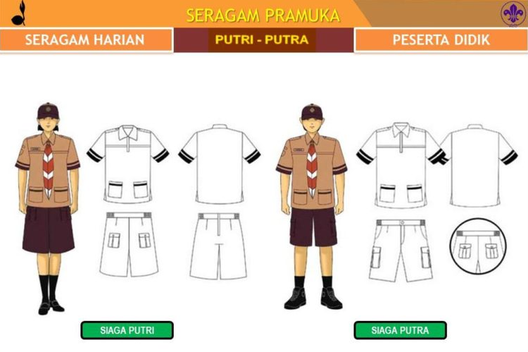 Detail Foto Baju Pramuka Lengkap Nomer 15