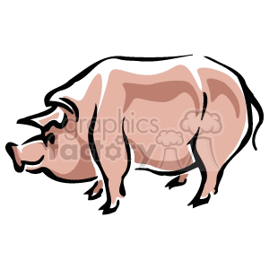 Detail Huge Pig Nomer 8