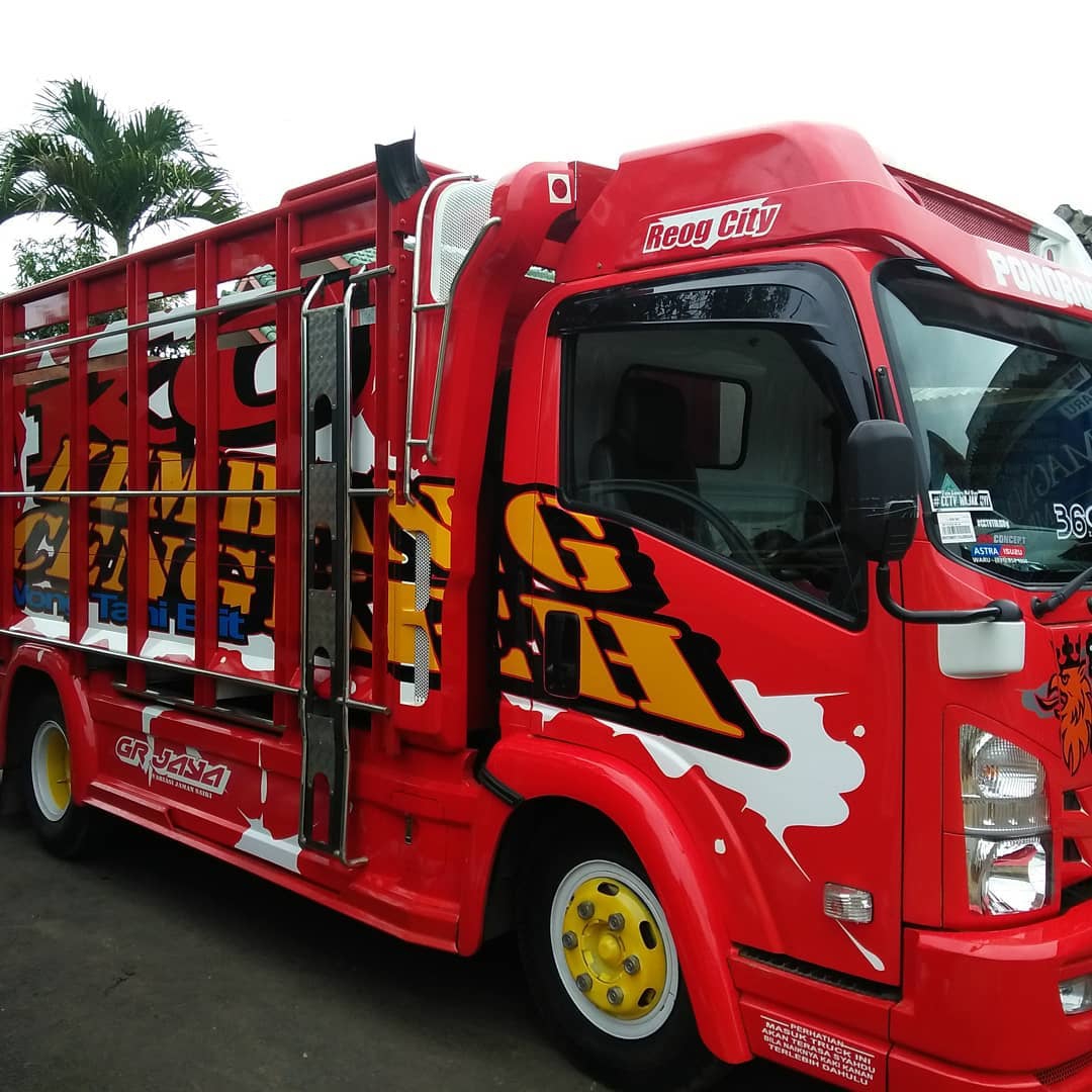 Detail Bak Truk Full Variasi Nomer 47