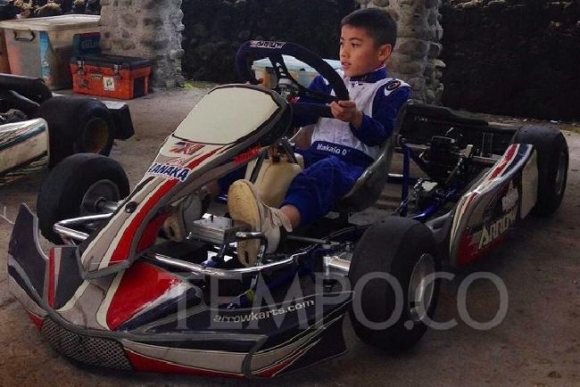 Detail Balap Mobil Gokart Nomer 15