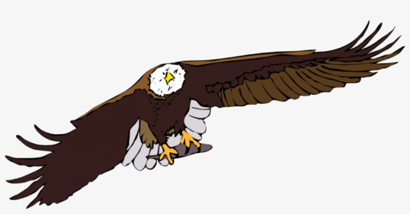 Detail Bald Eagle Flying Png Nomer 41
