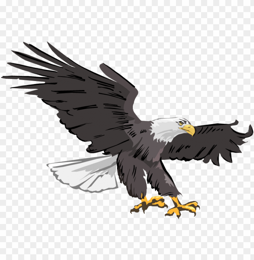 Detail Bald Eagle Flying Png Nomer 45