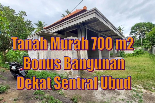 Detail Bali Real Property Rumah Jual Tanah Murah Nomer 2