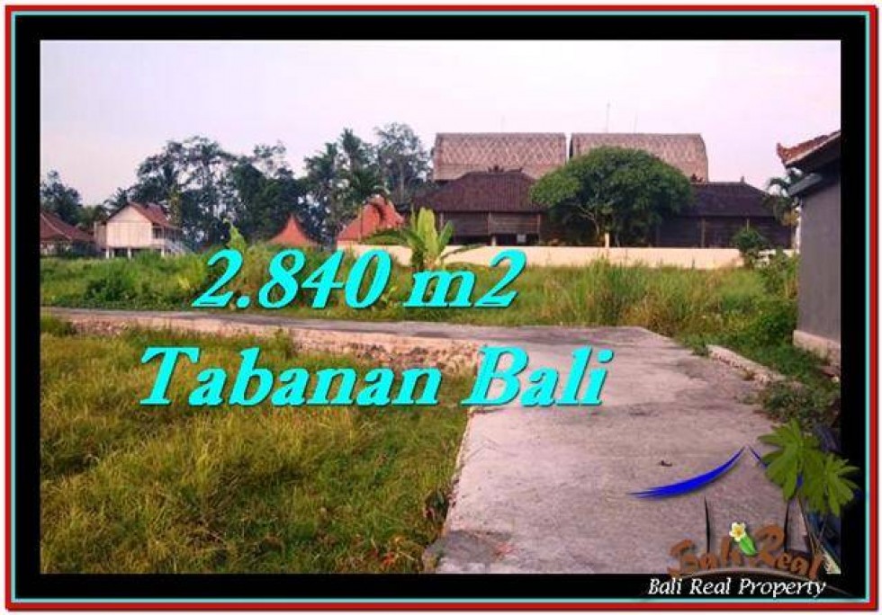 Detail Bali Real Property Rumah Jual Tanah Murah Nomer 12