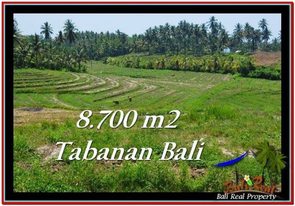 Detail Bali Real Property Rumah Jual Tanah Murah Nomer 14