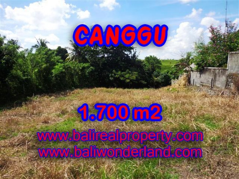 Detail Bali Real Property Rumah Jual Tanah Murah Nomer 24