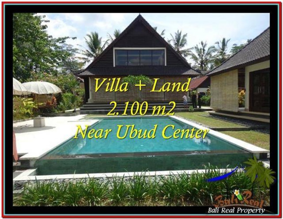 Detail Bali Real Property Rumah Jual Tanah Murah Nomer 34