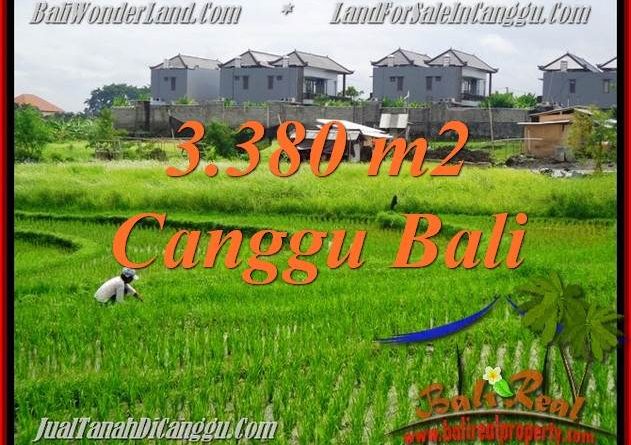 Detail Bali Real Property Rumah Jual Tanah Murah Nomer 38