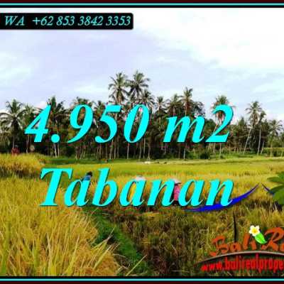 Detail Bali Real Property Rumah Jual Tanah Murah Nomer 5