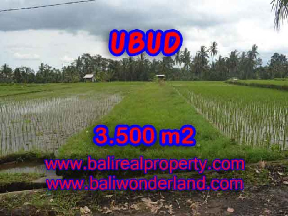 Detail Bali Real Property Rumah Jual Tanah Murah Nomer 43