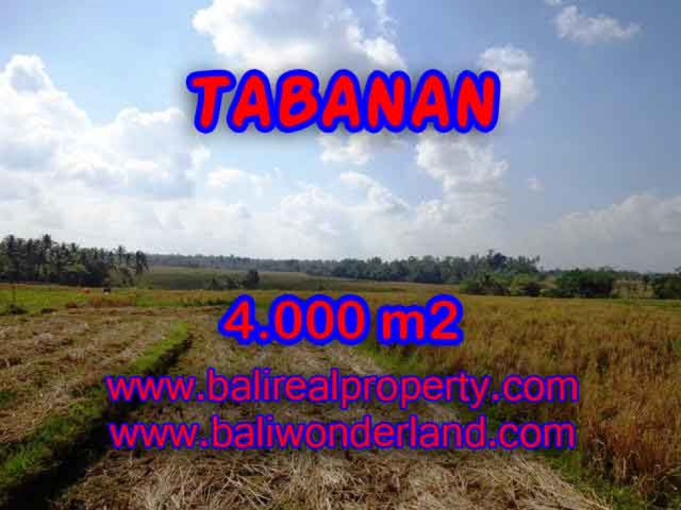 Detail Bali Real Property Rumah Jual Tanah Murah Nomer 50