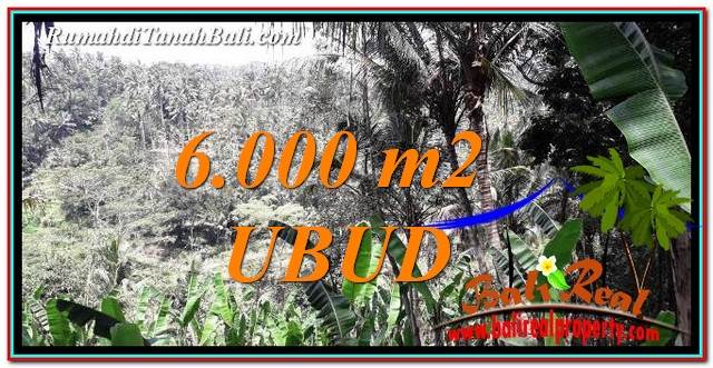 Detail Bali Real Property Rumah Jual Tanah Murah Nomer 51